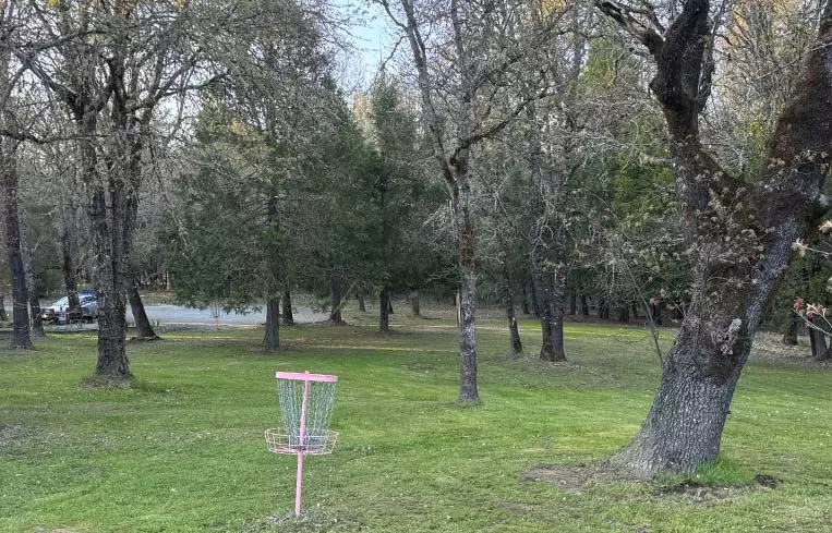 Disc Golf basket for residents and visitors to practice their putts