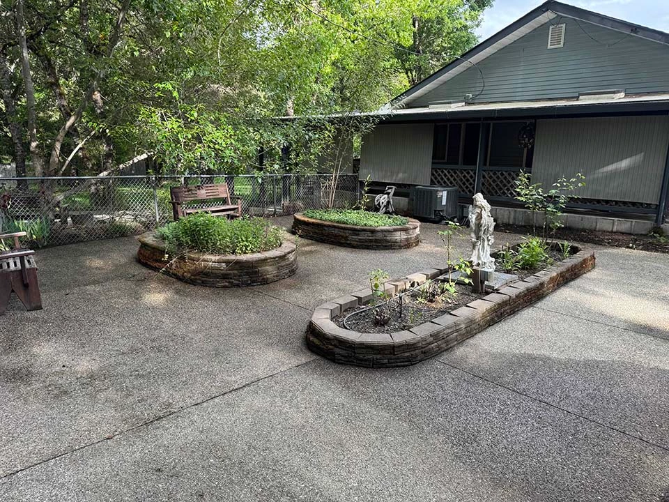 A view of the garden, looking towards the home, from Spring 2025.