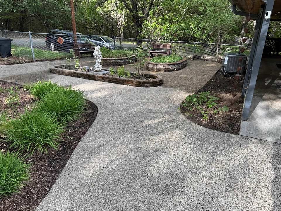 Another view of the garden from Spring 2025.