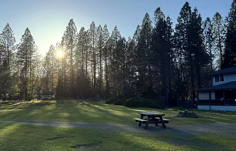Wooden picnic table to enjoy a meal while viewing the beautiful forest and meadow