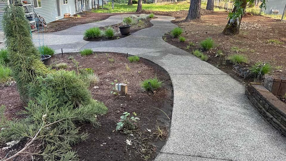 A view of the walking path from Spring 2025.